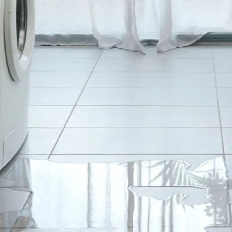 Appliance Leak Cleanup in East Newnan, GA