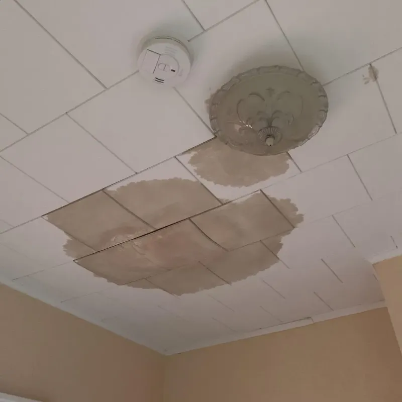 Ceiling Water Damage Repair in East Newnan, GA