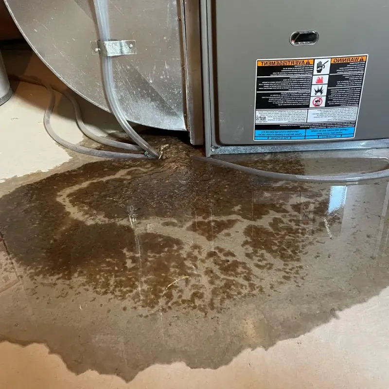Pipe Burst and Leak Restoration in East Newnan, GA