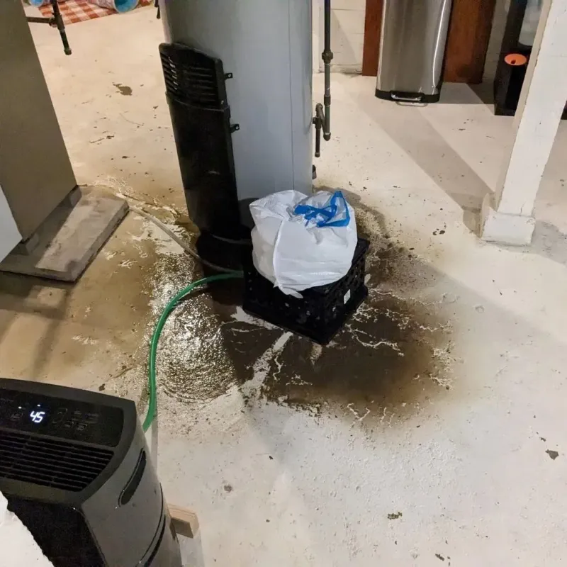 Sewage Backup Cleanup Service in East Newnan, GA